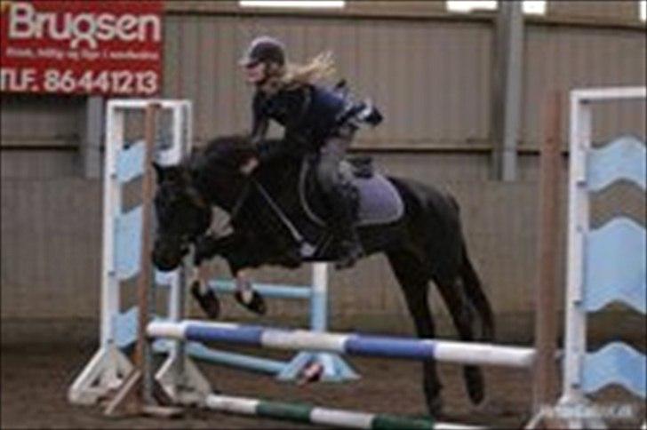 Anden særlig race Dinna<3 - dinna til min konf. sikke en dejlig overreskelse billede 5