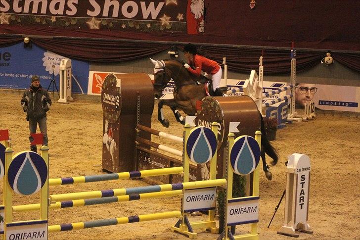 Zangersheide Galaxie Alfarvad Z R.I.P - Laks til Warm Up, LB 8. plads, dec 10 Foto: Pernille Kirstine Bjerregaard billede 12