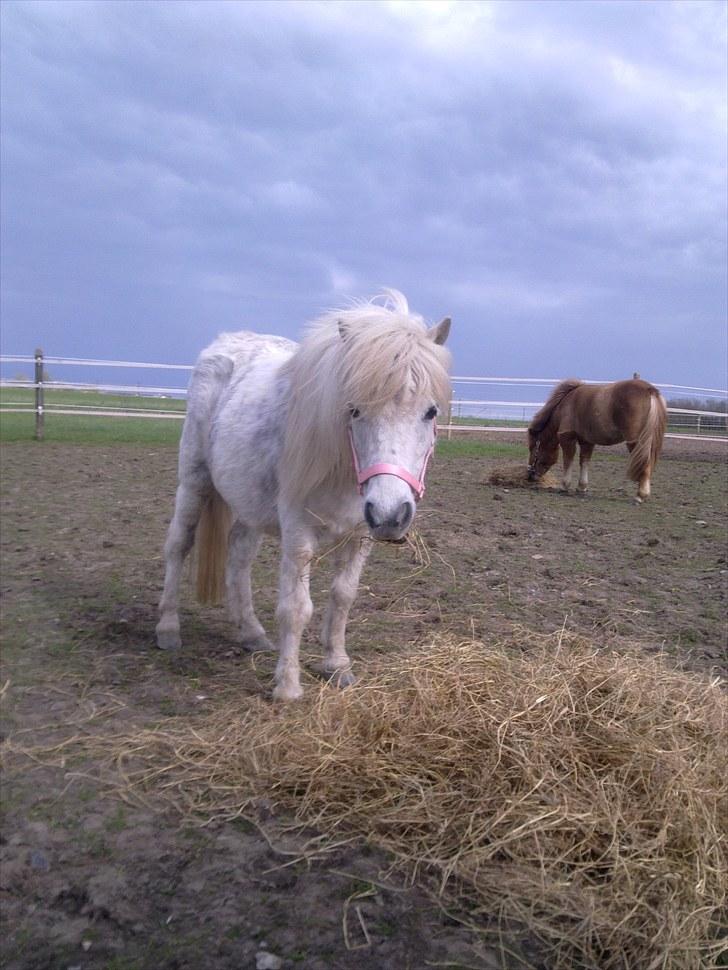 Miniature Emma Bredager billede 6