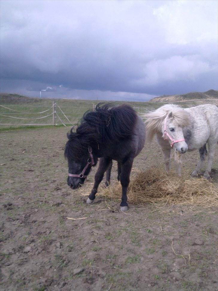 Miniature Emilie Bredager billede 7