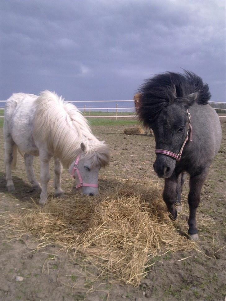 Miniature Emilie Bredager billede 8