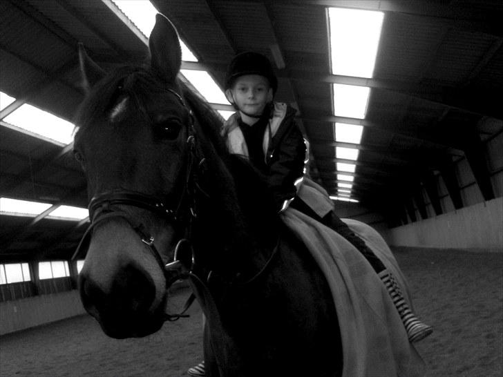 Anden særlig race † Flint R.I.P † - Jackie og flint  billede 10