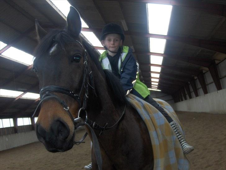 Anden særlig race † Flint R.I.P † billede 11