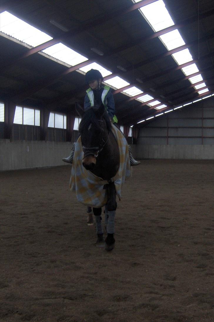 Anden særlig race † Flint R.I.P † billede 12