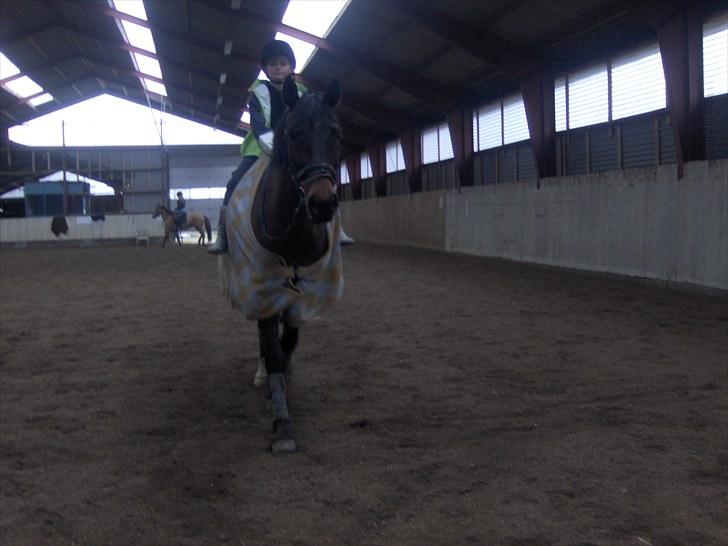 Anden særlig race † Flint R.I.P † - Jackie Skridter lidt rundt på flint billede 13