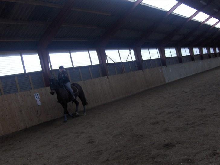 Anden særlig race † Flint R.I.P † - mig og Flint foto: Jackie billede 14