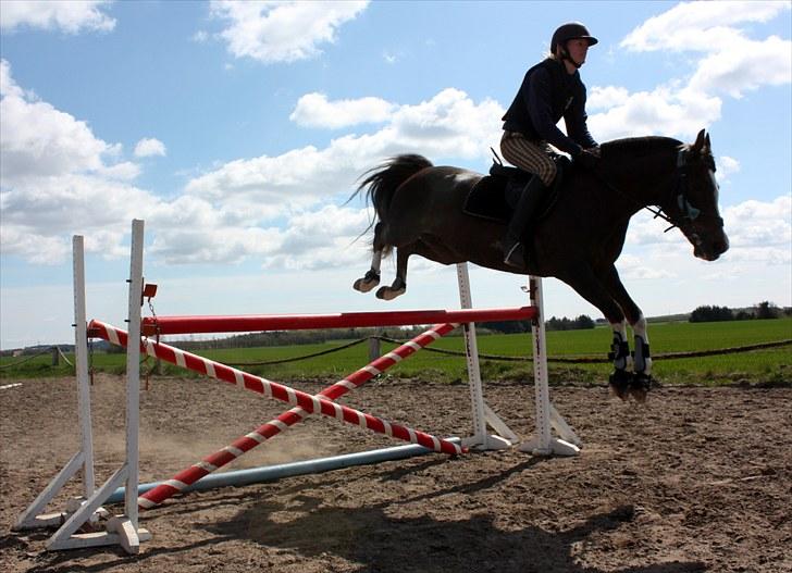 DSP Pajens Olivar - NYT - 09.05.10 - Her springer Olivar og jeg 120 billede 11