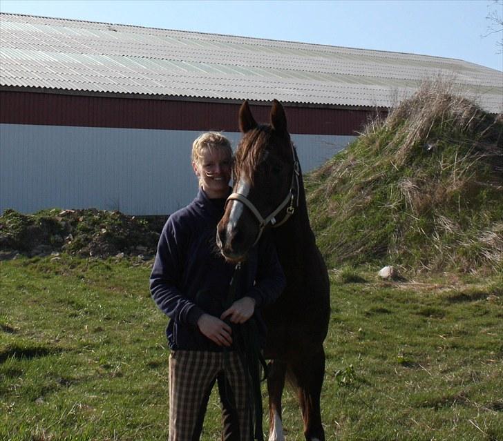 DSP Pajens Olivar - NYT  billede 12