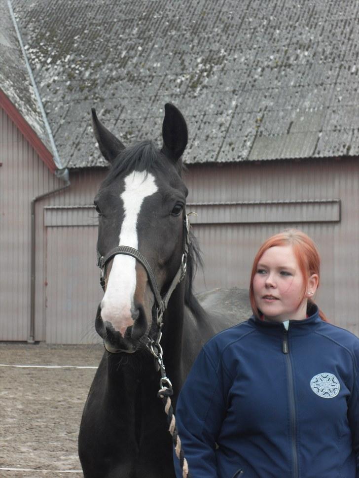 Dansk Varmblod Pointsprings Maddison - Søs&Maddi på vej til græsfold! :D  billede 16