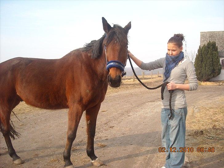 Traver haniball†16-05-2011† billede 5