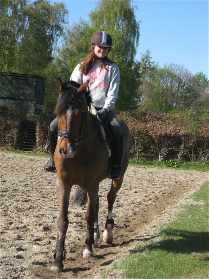 Holstener Zitano - Træning d. 5. maj 2010 billede 9