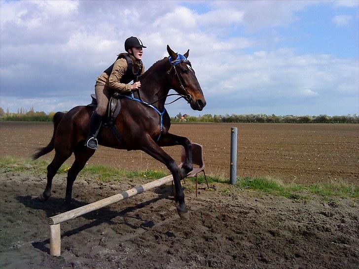 Traver Join the dream  - første gang Join springer med rytter... billede 11