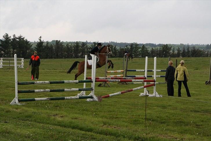 Anden særlig race Chanel - #8 Elisa og Chanel i stor stil XD billede 8