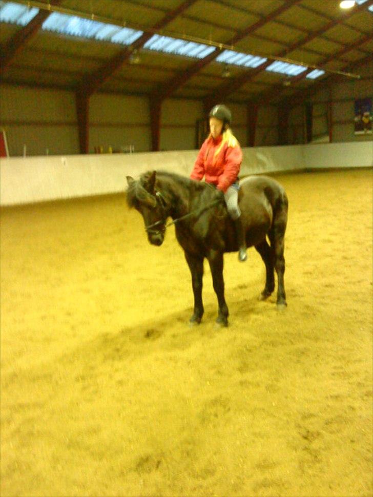 Anden særlig race Beauty part - beauty min smukke pony<3 billede 3