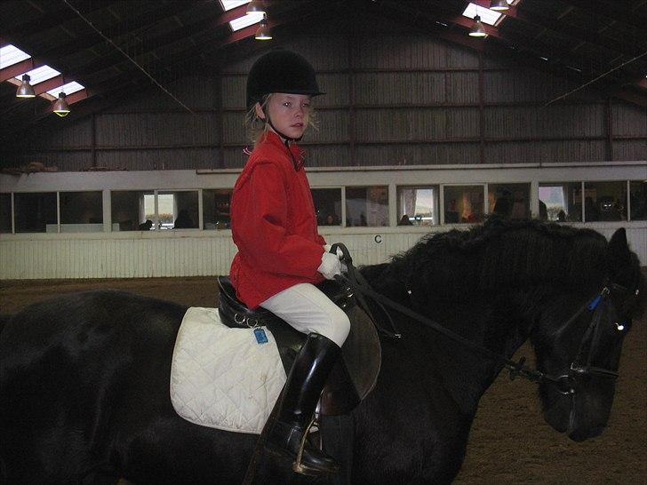 Anden særlig race Beauty part - jeg var ikk´ ret gammel men nu er jeg 11 jeg har reddet 7-8 år  billede 4