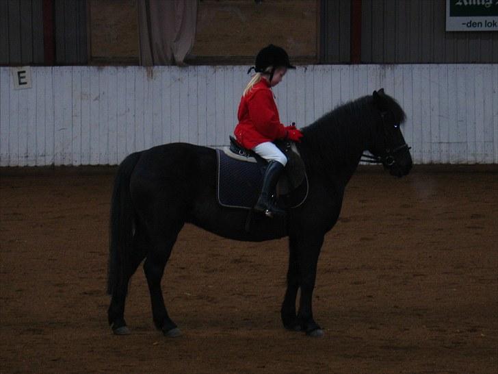 Anden særlig race Beauty part - Mit første stævne på Beauty billede 7