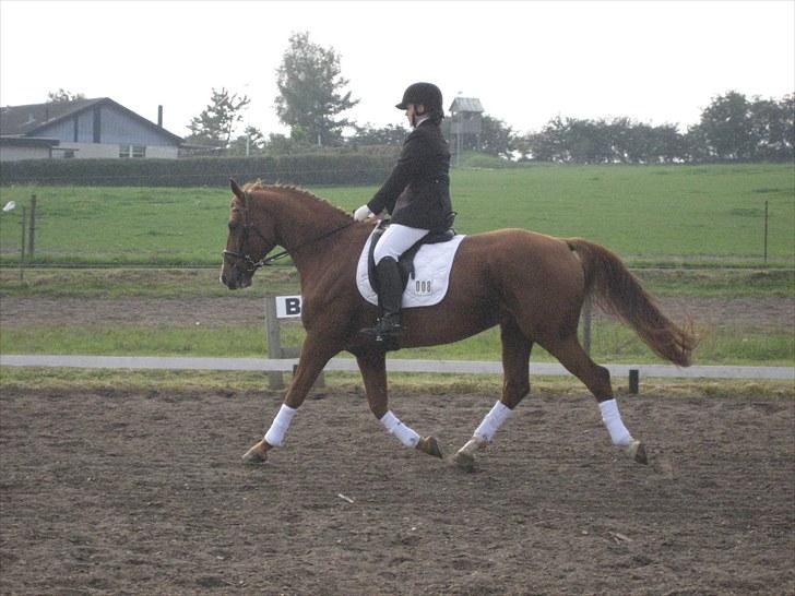 Mecklenburger Orff - Stævne i Fjends billede 11