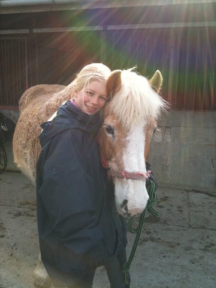 Haflinger Tulle [Solgt] - Vi passer sammen, vi to er som et, Tulle jeg ville ALDRIG skilles fra dig <3:* billede 11