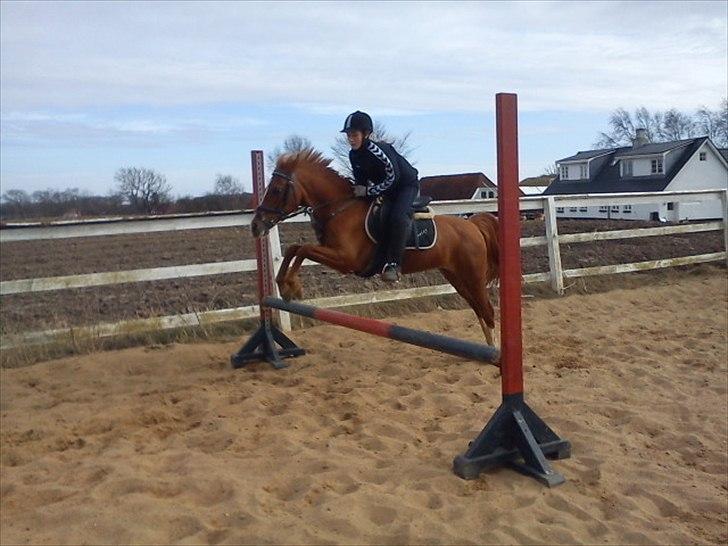 DSP Daisy<'3 |MIN ENGEL| - The sky’s the limit.♥ billede 17