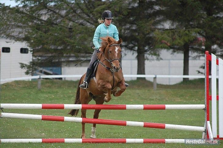 Anden særlig race Freja - træningsstævne for laaaaang tid siden..<3 Foto Annika L billede 9