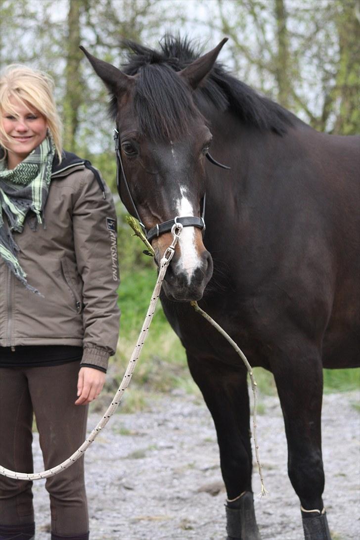 Anden særlig race SANTANA - Bølle med sin pind! :D billede 13