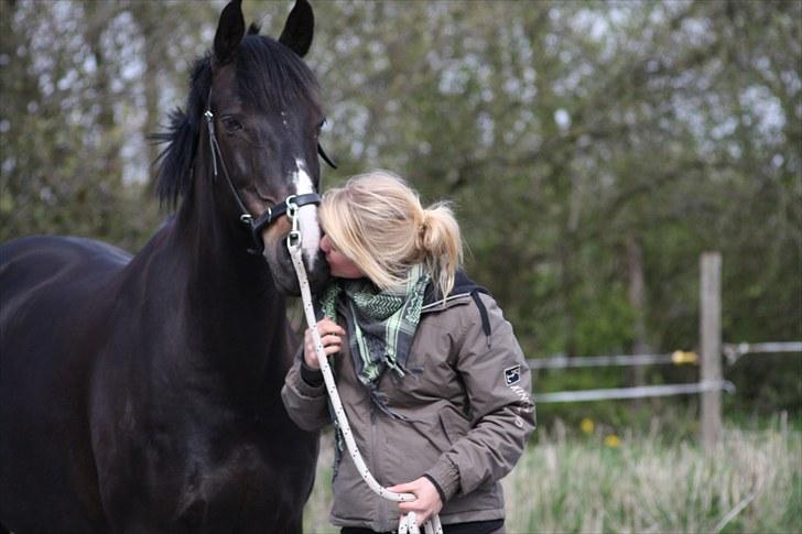 Anden særlig race SANTANA - Jeg elsker dig.  billede 15