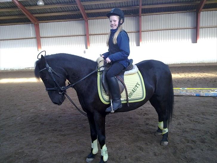 Anden særlig race Beauty part - Beauty og mig til undervisning.! billede 8