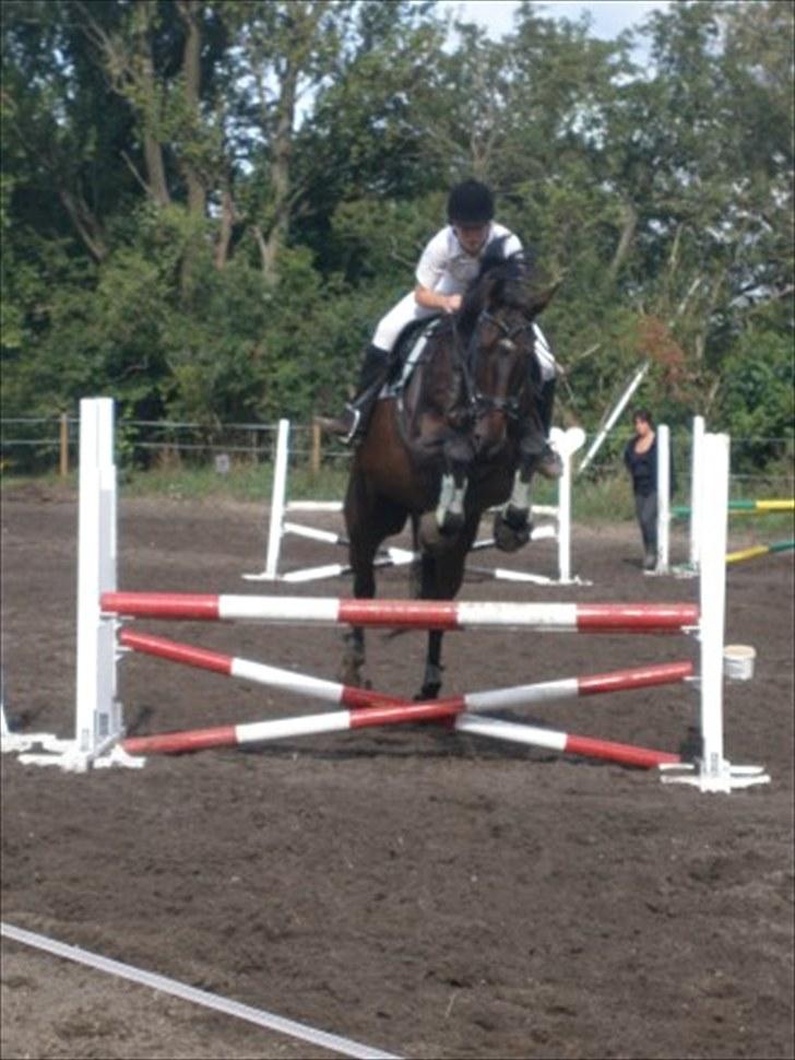 Anden særlig race Toby <3 - Toby og mig til ok stænve 2009 (:<3 billede 1