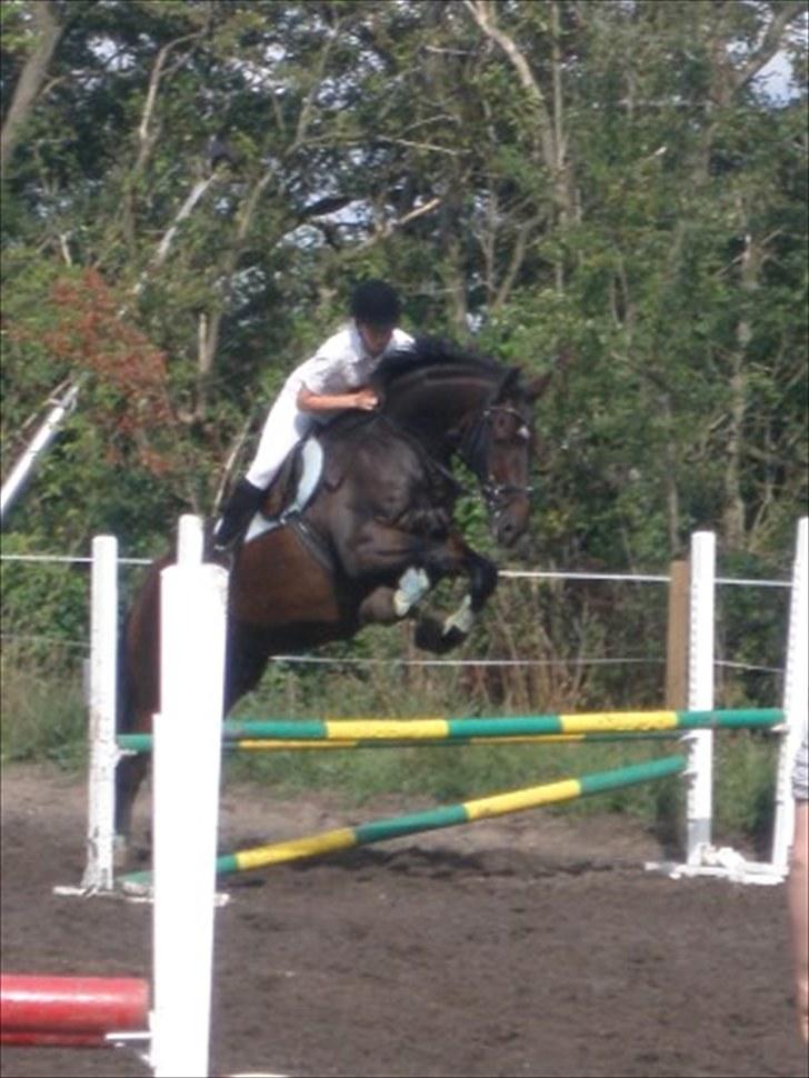 Anden særlig race Toby <3 - Toby og mig til ok stænve 2009 (:<3 billede 2