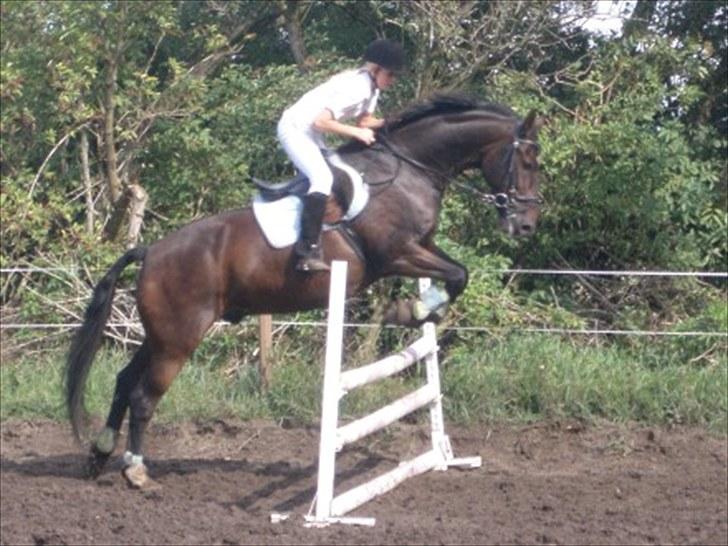 Anden særlig race Toby <3 - Toby og mig til ok stænve 2009 (:<3 billede 3