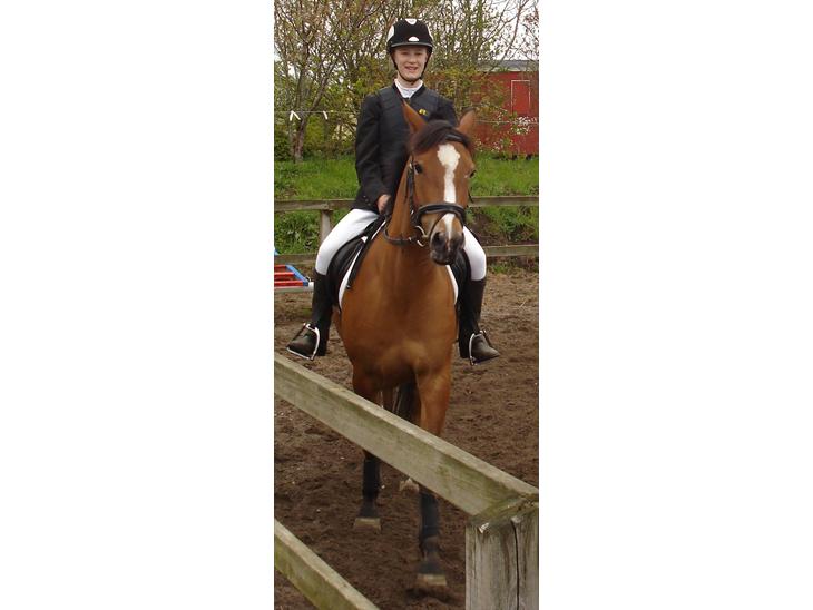 {{currentPhoto.altText}} billede {{currentPhoto.number}}