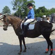 DSP candis  [solgt!]