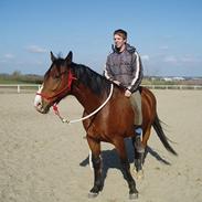 Hannoveraner ruben R.I.P 14.01.10