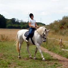 Anden særlig race Shamal *RIP*