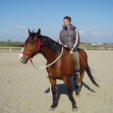 Hannoveraner ruben R.I.P 14.01.10