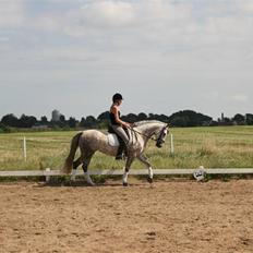 Anden særlig race Dancing Daisy ! !SOLGT! !