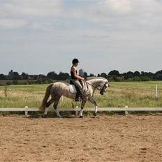 Anden særlig race Dancing Daisy ! !SOLGT! !