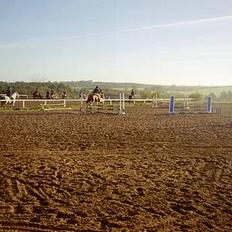 Anden særlig race Cici *død* :'(