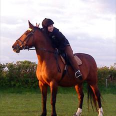 Oldenborg Tequila Sunrise