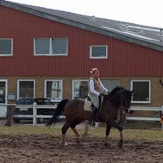 Anden særlig race Monark - A-hest i dressur