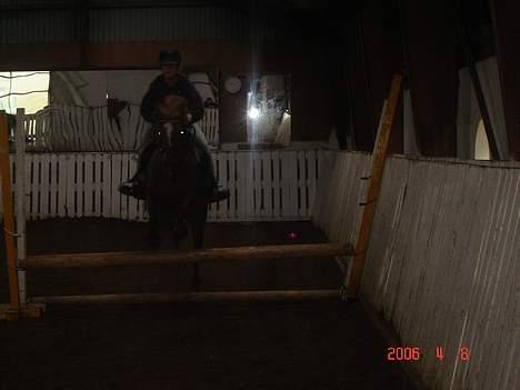 DSP Patricia*Solgt*Efterlyses - oxser.... hiih.. var ved at springe bane..  billede 11