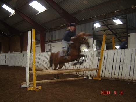 DSP Patricia*Solgt*Efterlyses - oxser...  billede 12