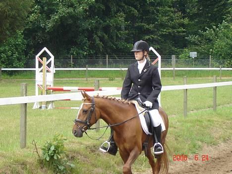 DSP Patricia*Solgt*Efterlyses - Opvarmning til dressur.. stævne frk billede 14