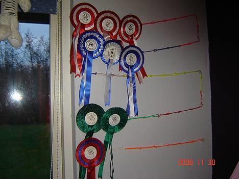 DSP Patricia*Solgt*Efterlyses - Rosetter jeg har fået på hende billede 17