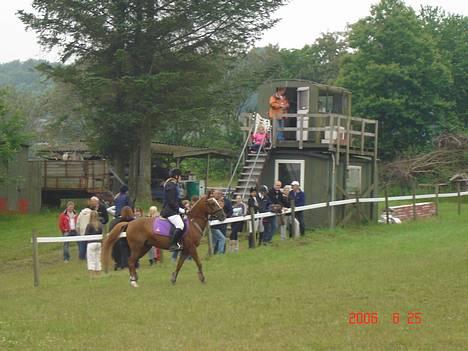 DSP Patricia*Solgt*Efterlyses - patricia til stævne billede 19