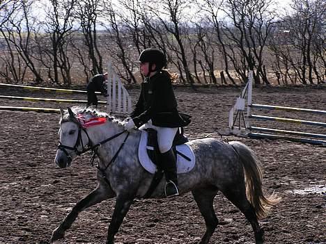 Welsh Mountain (sec A) | Brise (Solgt 07) - Jaah, endelig må vi få lov at jorde :D hæng på andrea billede 13