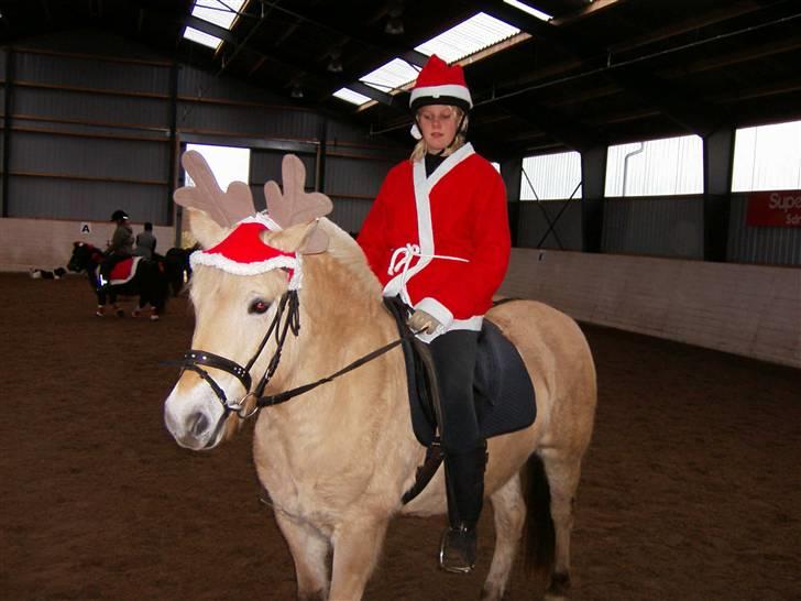 Fjordhest bell - til juleoptog 07 billede 10