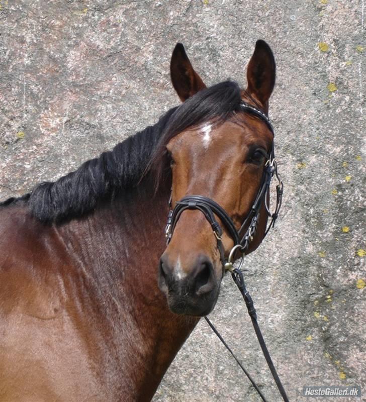 Anden særlig race Macon <3 (R.I.P 24.11.10) - foråret 09 billede 1