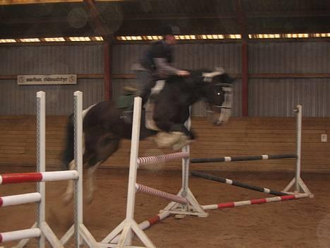 Anden særlig race Apache *Gl. Part - hehe.. 115cm billede 19