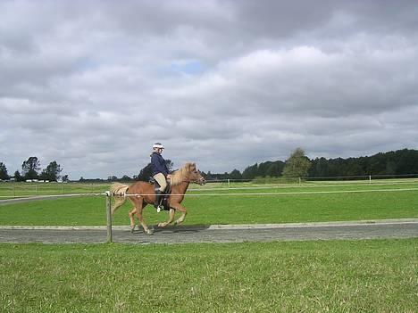 Islænder Lukka fra Flødal (SOLGT) - Blossi stævne 2006 - Lukka og jeg i galop i 4.5 billede 7